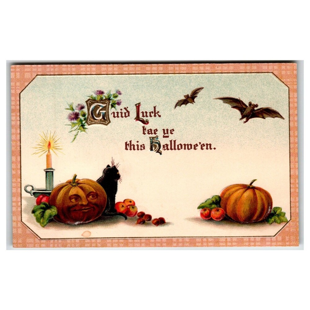 1909 Halloween Postcard Black Cat Carved Pumpkin Bats Gottchalk Embossed